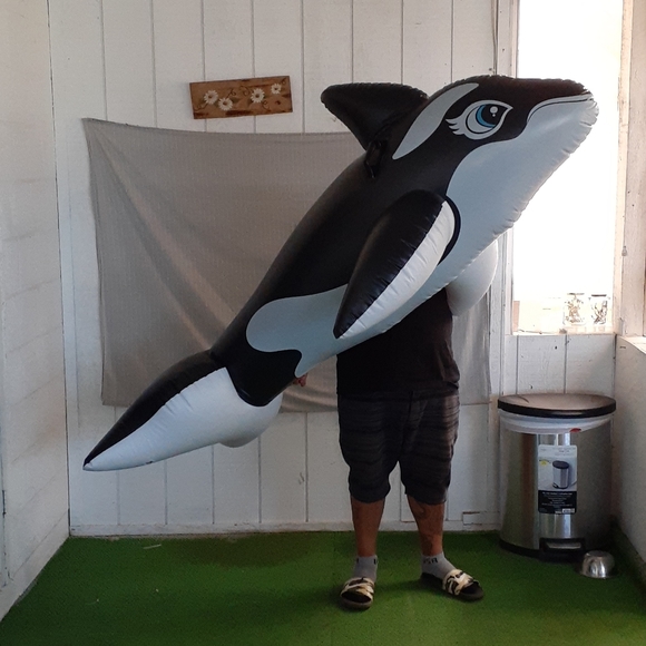 FINAL PRICE! NWT Intex Orca Inflatable Pool Ride On Toy - Picture 7 of 8